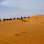 Viajes de 15 días de Casablanca al desierto del Sáhara y vuelta a Casablanca