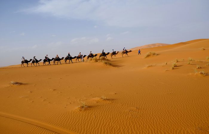Viajes de 15 días de Casablanca al desierto del Sáhara y vuelta a Casablanca